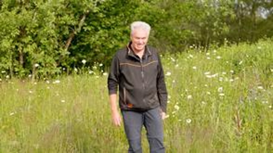 Derfor bør du vente med kantslåtten – og heller dyrke en blomstereng